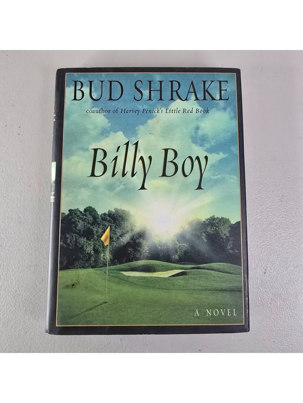 Billy Boy by Bud Shrake (2001, Hardcover)